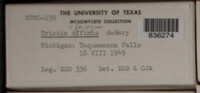 Image Associated With the Occurence
